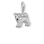 Charm Perro