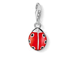 Charm de catarina de Plata