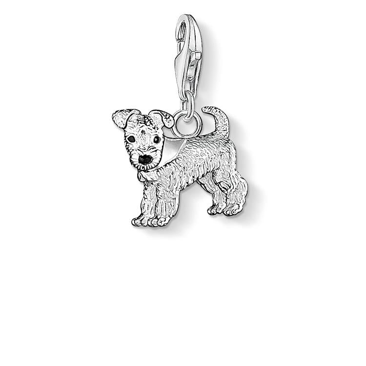 Charm Perro