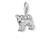 Charm Perro