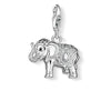 Charm Elefante Indio