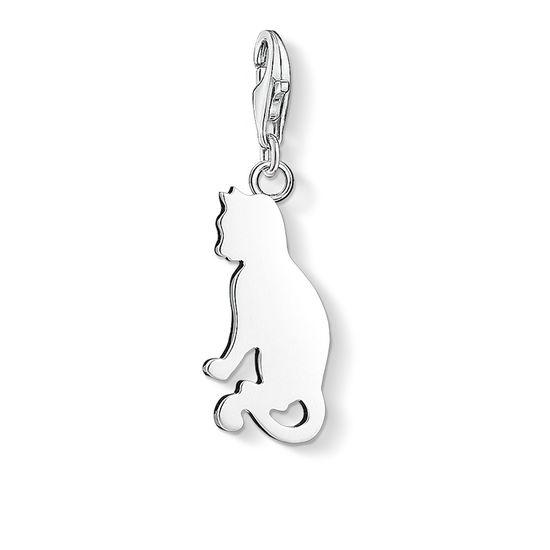 Colgante Charm 