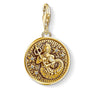 Charm Colgante Signo del Zodiaco "Acuario"