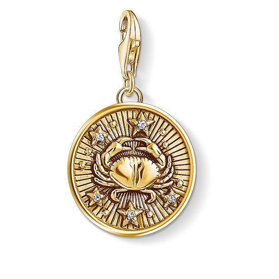 Charm Colgante Signo del Zodiaco 