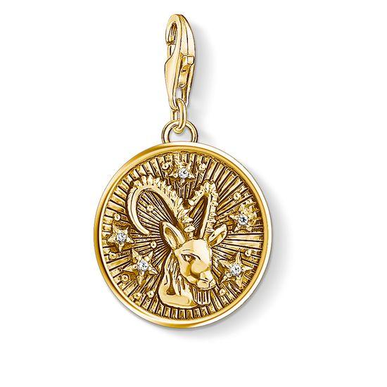 Charm Colgante Signo del Zodiaco 