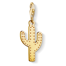 Colgante Charm 