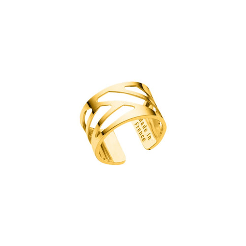 Anillo Ruban Baño de Oro