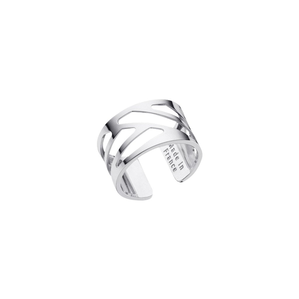 Anillo Ruban Baño de Plata