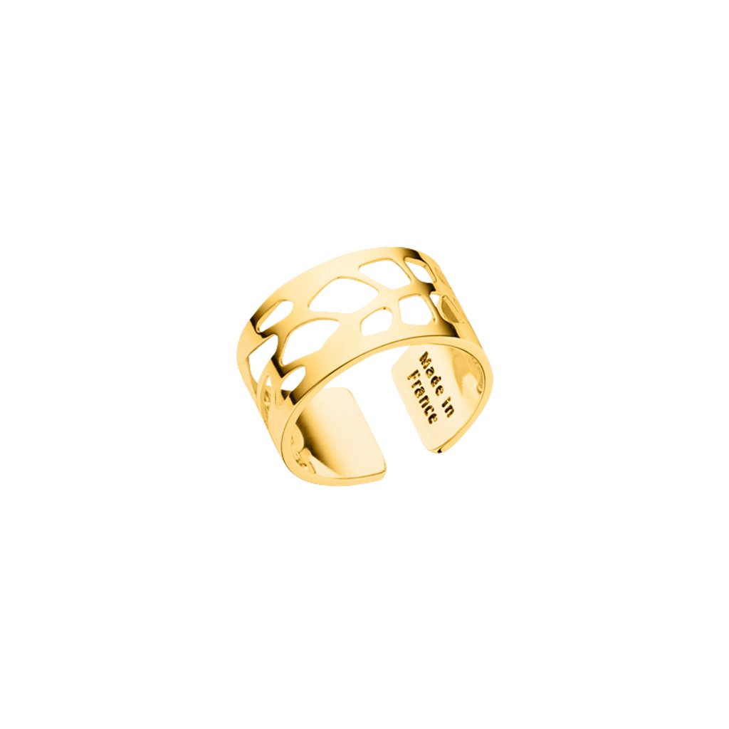 Anillo Fougère Acabado en Oro