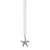 Collar de estrella de mar de Plata
