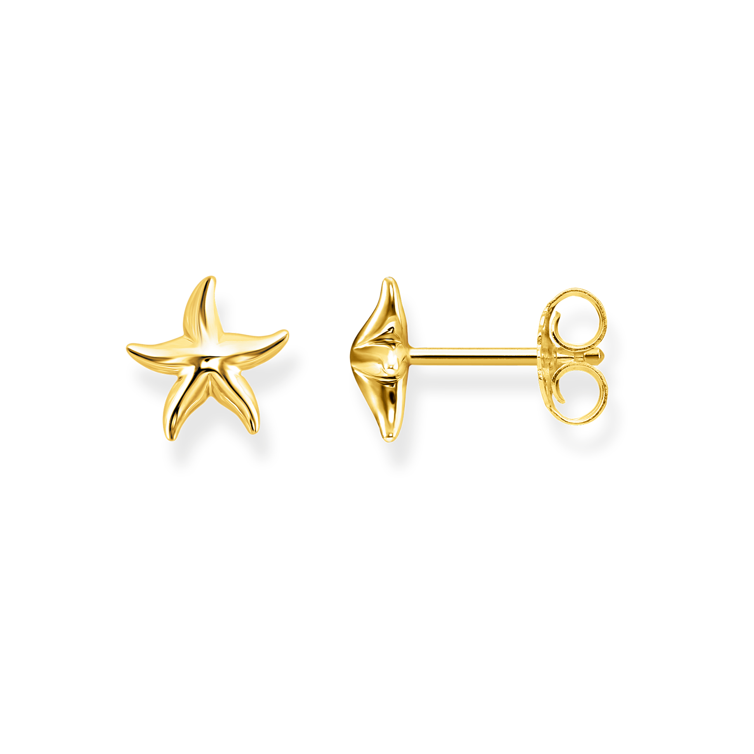 Aretes Estrella de Mar