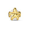 Bead Estrella de Mar