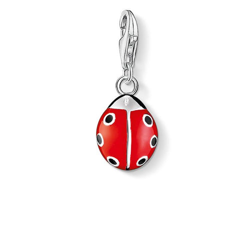 Charm de catarina de Plata