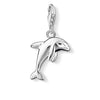 Charm de delfín de Plata