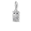 Charm de buho de Plata