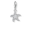 Charm de estrella de mar de Plata